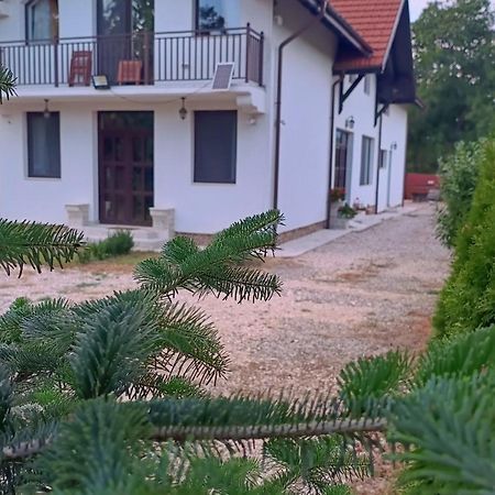 Pensiunea Cretisoara Câmpulung Exterior photo