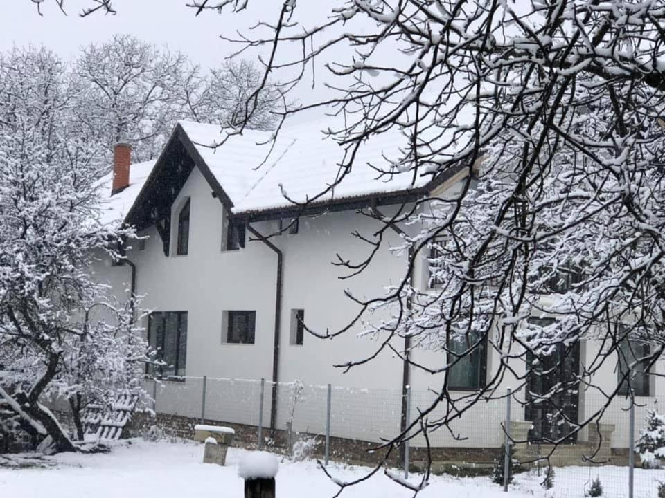 Pensiunea Cretisoara Câmpulung Exterior photo