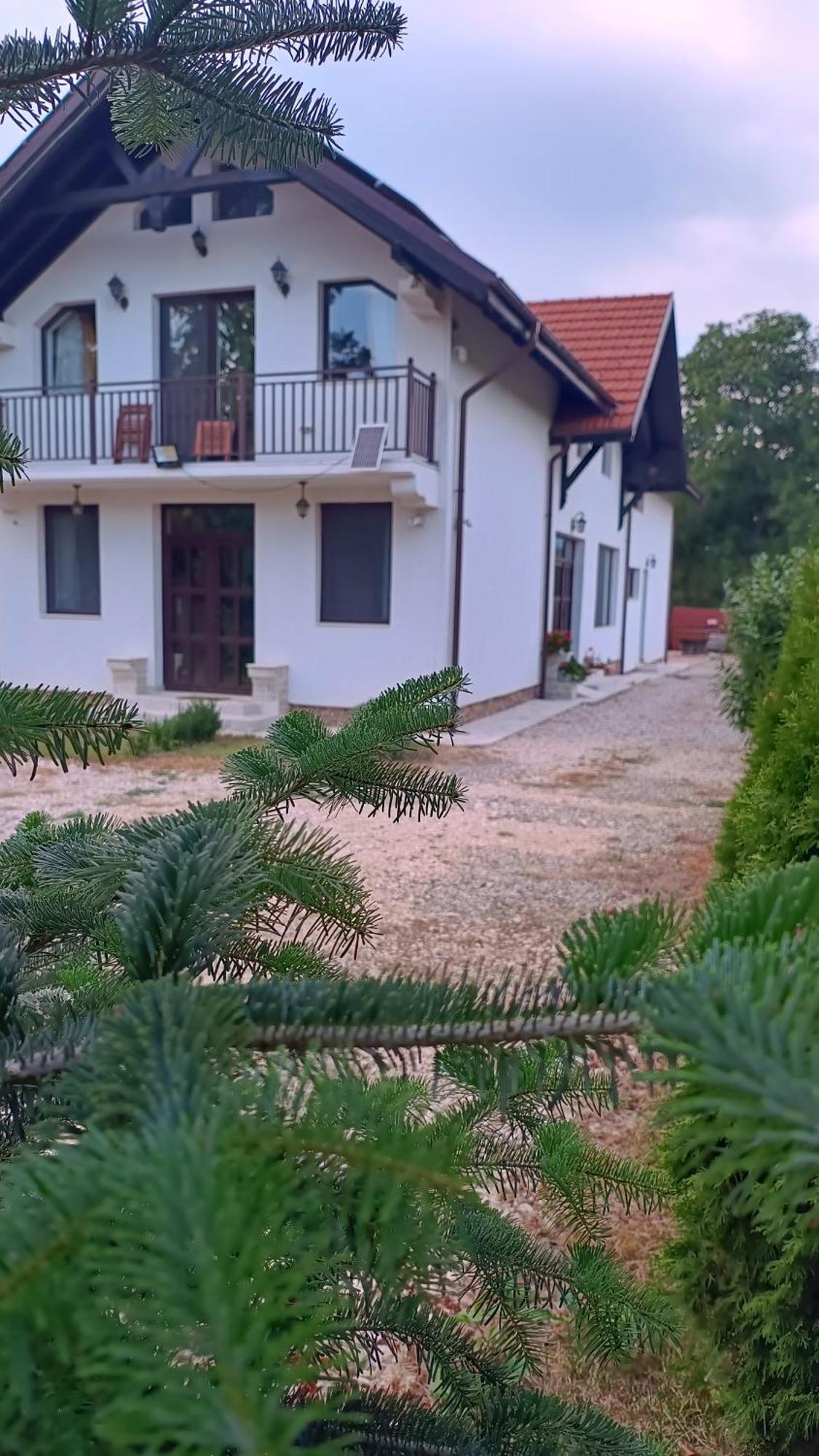 Pensiunea Cretisoara Câmpulung Exterior photo